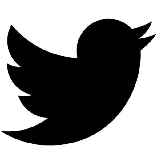 twittervpn加速器 Logo